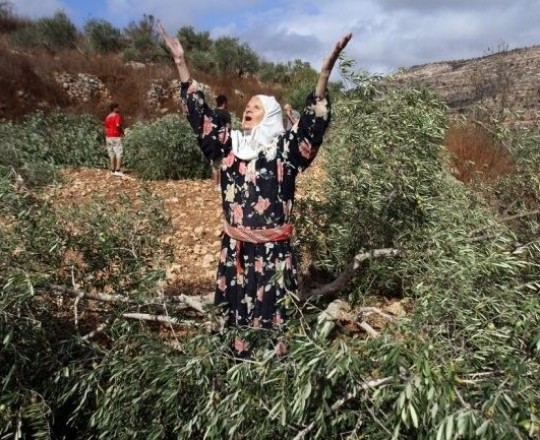تعبيرية
