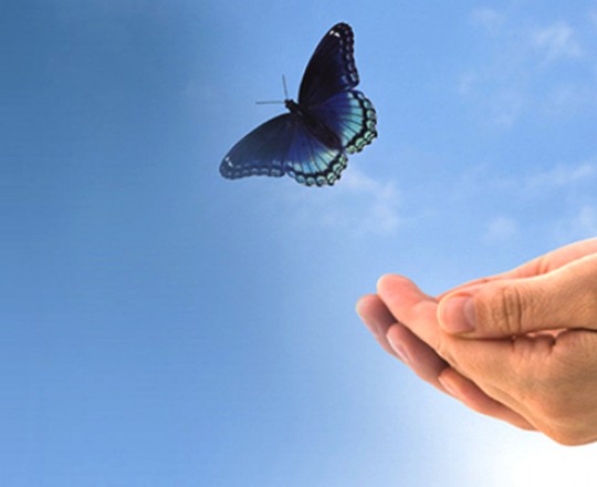الحرية والدين: أنا أفكـر، إذن أنا حـر