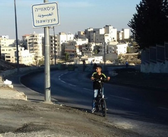 الاحتلال يُمدد اعتقال عضوين في لجنة أولياء أمور طلبة العيساوية