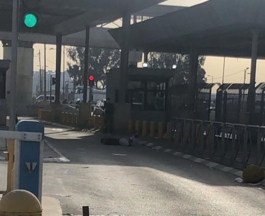 صورة من المكان 