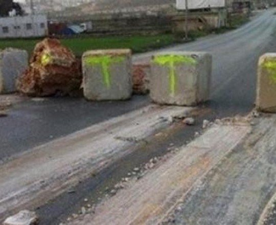 صورة توضيحية 