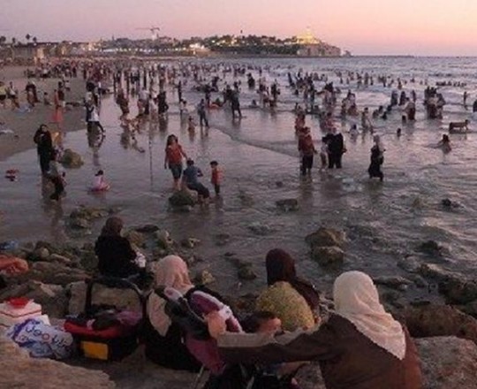 شواطئ يافا.jpg