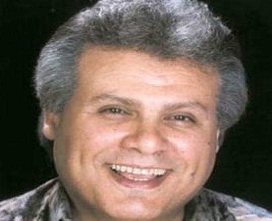 محمد علي سليمان..