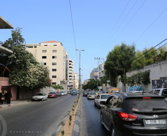 تصوير طارق مسعود