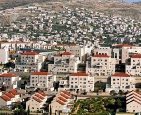 صورة توضيحية 