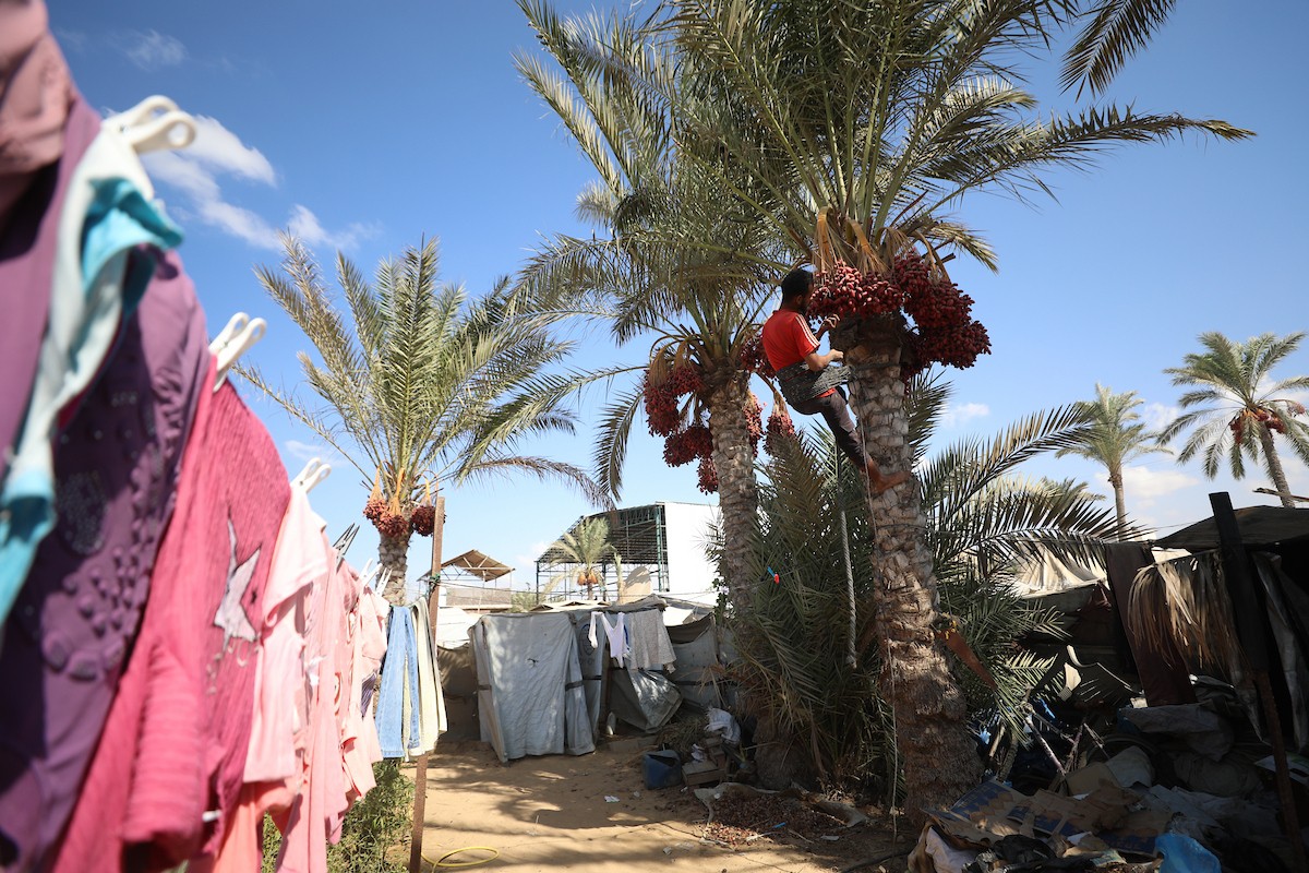 041026_Deir_El-Balah_HJ_00(15).jpg