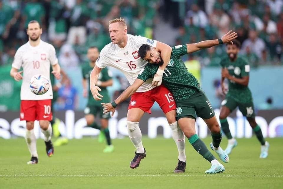 photo1669475155 (2).jpeg