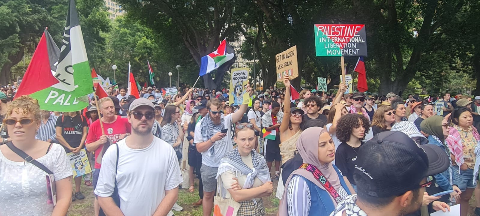 WhatsApp Image 2024-03-03 at 1.06.25 PM.jpeg