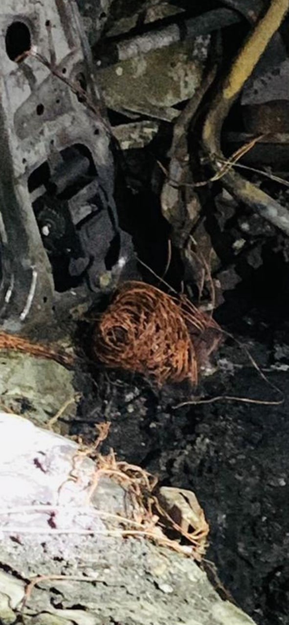 WhatsApp Image 2022-11-21 at 10.12.07 AM.jpeg