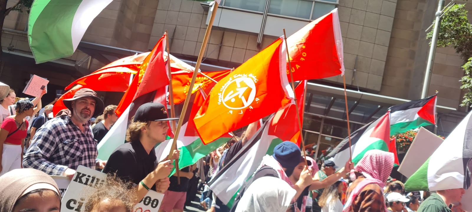 WhatsApp Image 2024-03-03 at 1.06.01 PM.jpeg