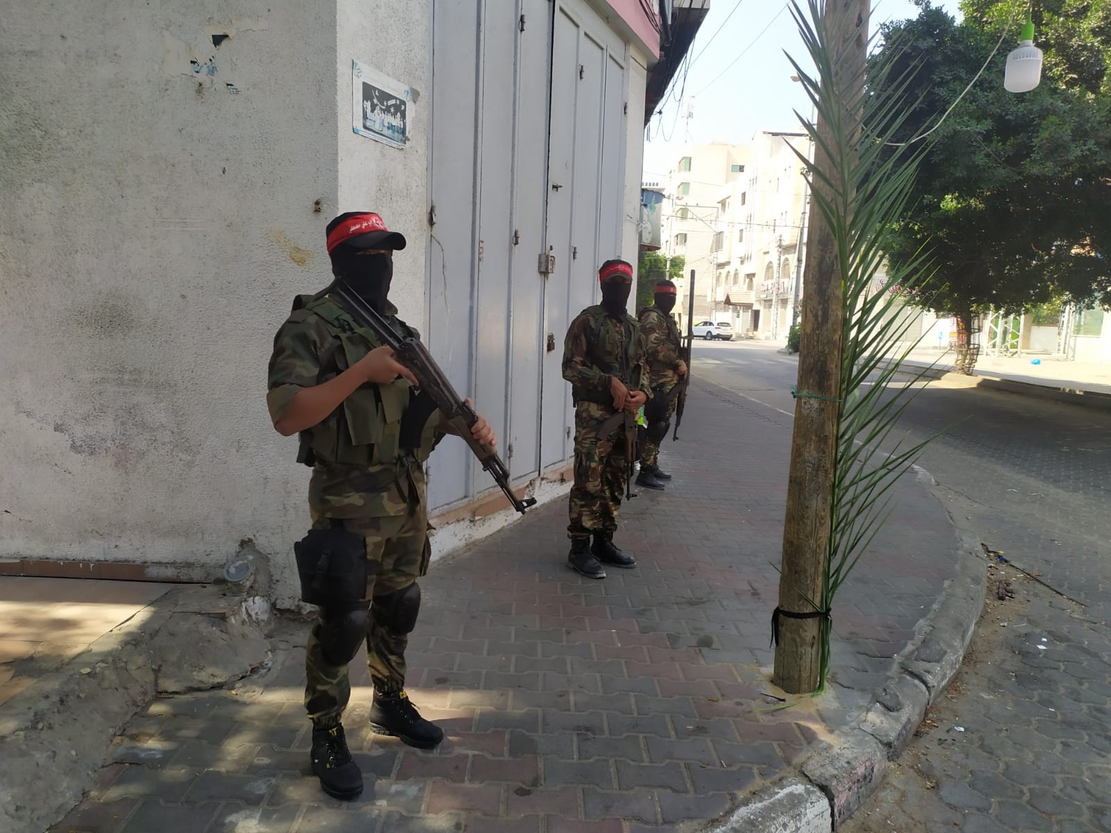 WhatsApp Image 2020-09-11 at 14.46.40.jpeg